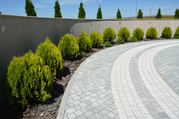 Best Driveway Pavers Installation  in Avilla, AR